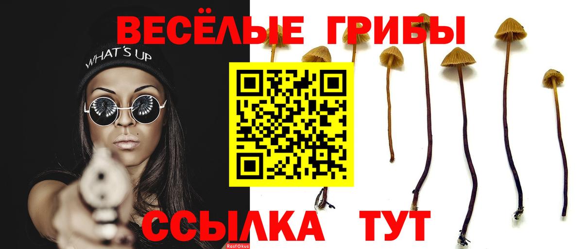 Майкоп  Псилоцибиновые грибы Magic Shrooms  Вход с VPN 